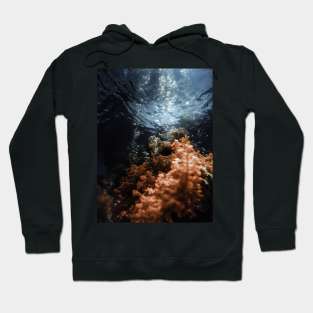 Ocean picture Hoodie